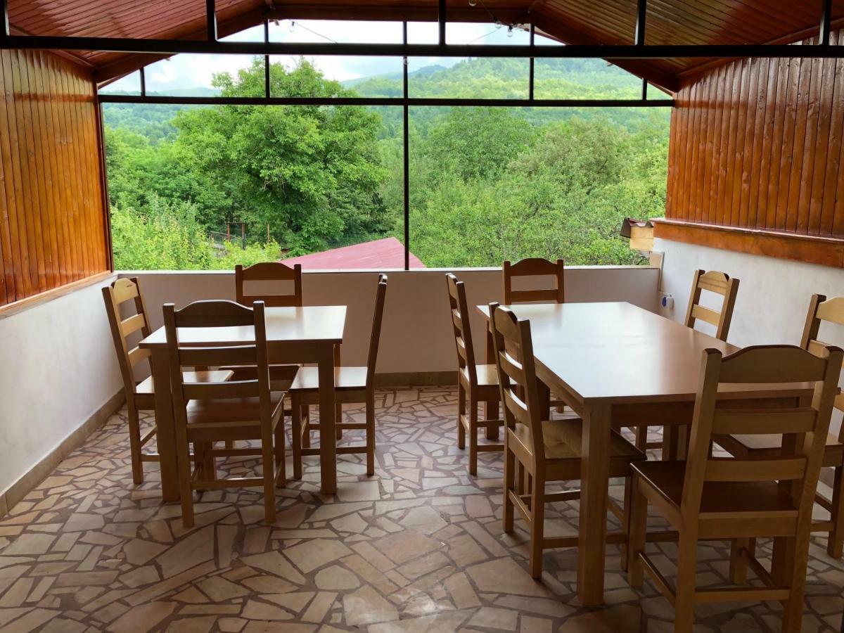 Отель Vila Domneasca Corbi Экстерьер фото